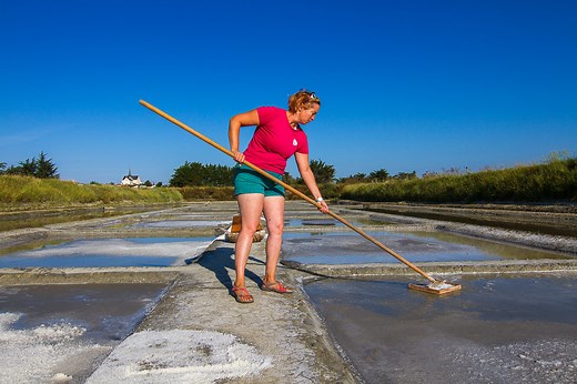 Marais salants de la Vie