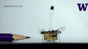 The first wireless flying robotic insect takes off