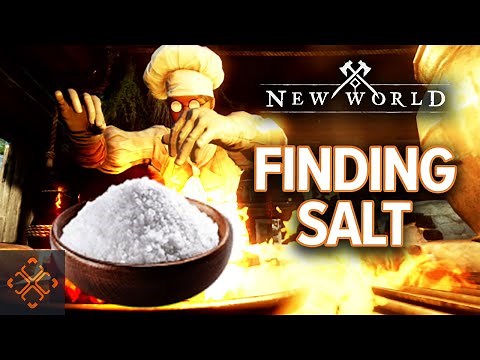 New World Guide: Where To Find Salt