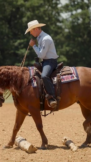Is your horse clumsy through the log walkovers? Bud Lyon discusses how he trains a horse to develop more forward motion and cadence through the maneuver. Watch Bud Lyon’s new ranch trail masterclass over on Ride TV 🔗 https://bit.ly/3GWP8S7 | Ride TV
