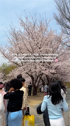 Exactly one month from now, this will be you. 🌸And Korea’s spring anthem playing in your ears. 🎧