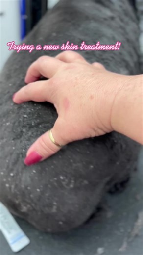 Dry, Itchy Dog Skin? This Exfoliating Treatment Helps!