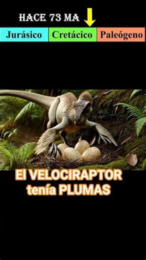 El VELOCIRAPTOR tenía PLUMAS