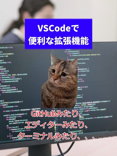 出たばっかりと比べてvscodeも随分つかいやすくなったよね！あんまり入れすぎるとパフォーマンス落ちるけど「これだけは！」という拡張機能があったら教えてね！#猫ミーム#エンジニア#エンジニアあるある#プログラミング