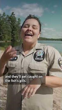 What Mussels Reveal About Our Lakes (And Why Guardians Are Studying it)