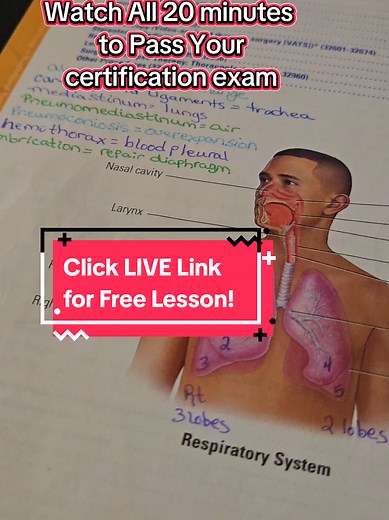 20-Minute Free Medical Coding Lesson for Beginners