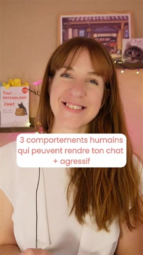 Comportement d'un chat agressif