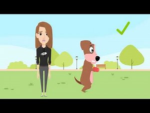 Journey into Administrative Law: Episode 7: Cancellation in Case Processing