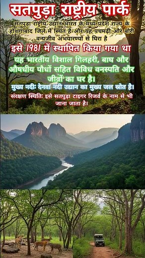 “Satpura National Park – The Hidden Paradise of Central India’s Untamed Wilderness”