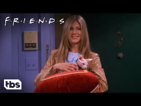Friends: Rachel Buys An Expensive Naked Cat (Season 5 Clip) | TBS