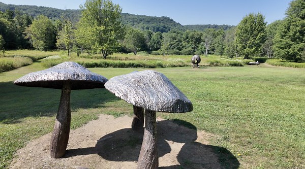 'It's a wonderful family-focused event': Fun awaits at Griffis Sculpture Park Festival