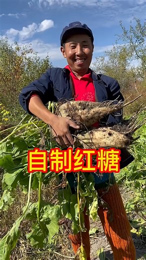 242K views · 4.6K reactions | Don't underestimate beets, they can be used to make brown sugar #folkcraftsman #handmade #funny | Shūshu de chúfáng | Facebook