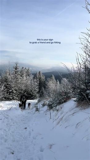 colorhuskys (@colorhuskys)’s videos with original sound - stubbypuppies