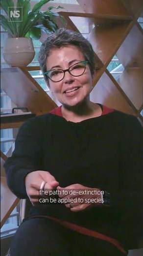 Could we bring back the extinct Dodo? 🦤