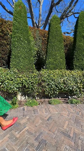 Old Khaki on Instagram: "A reminder that green is always THAT colour. Minimal look. Maximum green. 💚 Shop the Alice Lace Dress online in-store."
