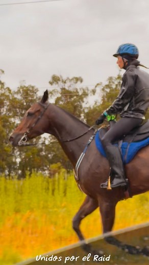 11K views · 192 reactions | Parte se lo que fue el raid de 90km en Tala! Club Atenas⚪️✔️ | Unidos Por El Raid | Facebook