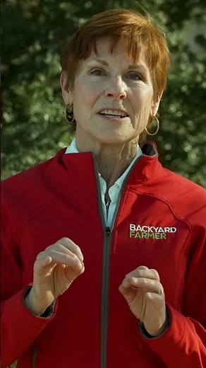 Don’t Prune the Yew—Whatever You Do! #tree #gardening