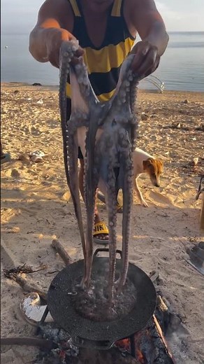 Frying a Giant Bctopus on the Pan Until It's Perfect