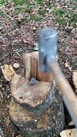 Must Have Splitting Wood Wedge