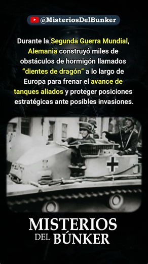 Los dientes de dragón Alemanes contra tanques Aliados