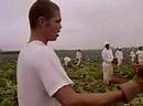 AMERICAN CHAIN GANG - DVD CLIP #1