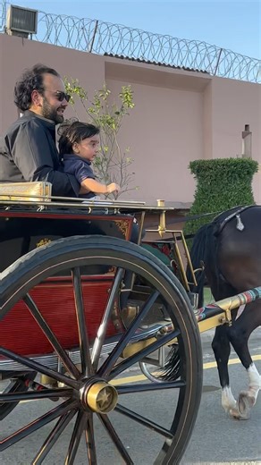 1.5M views · 36K reactions | Thank you for being the most amazing husband @mahmood.y.choudhry ♥️ - teaching our babies new skills (like riding tongas) & making us laugh everyday #HappyFathersDay 珞 | Bakhtawar Bhutto-Zardari | Facebook
