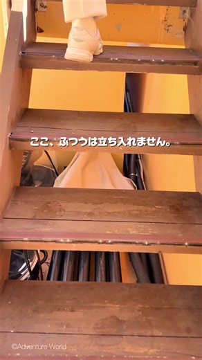 夏の白浜旅行とアドベンチャーワールドの魅力