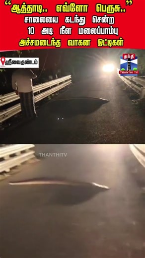 python | srivaikuntam | snake | viralvideo