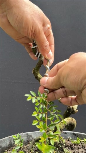 The beauty is so perfect, it will make you amazed