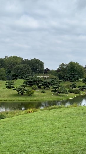 Explore the Enchanting Botanical Gardens of Chicago