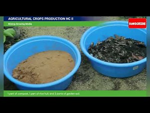 AGRICULTURAL CROPS PRODUCTION NC II-Growing & Mixing Media