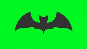 Halloween Bat Green Screen 4k Animation Stock Footage Video (100% Royalty-free) 3578967167 | Shutterstock