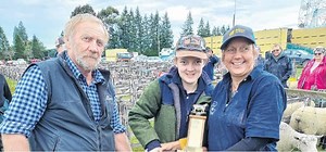 Sheep make welcome return