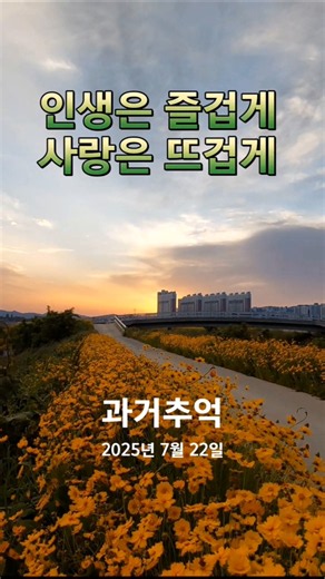 안면도펜션 안면도여행님이 노래가사를 만들면 언제나 대박 희트지 개사해봄 서산 태안 금계국 저녁노을 산책중에 #신나는노래 #인기트로트 #트로트