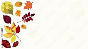 animated motion vector illustration of leaves with autumn concept. Animation of the beauty of leaves dancing gracefully in autumn. The beauty of falling maple leaves