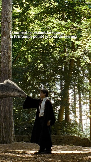 L’hiver s’efface doucement, laissant place à un Poudlard en fleurs 🌸 | Harry Potter