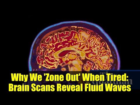 Why We 'Zone Out' When Tired: Brain Scans Reveal Fluid Waves