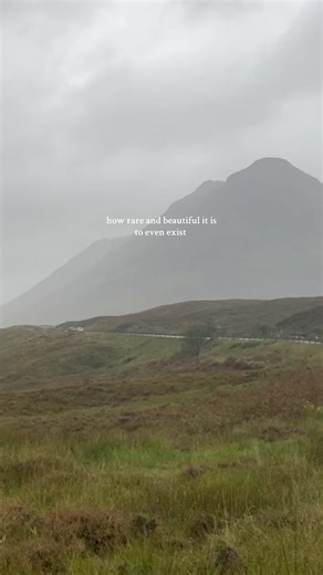 especially in the rainy weather of the Scottish Highlands ⛰️ makes you realize how gorgeous life truly is #rareandbeautiful #scottishhighland #trending #livingorexisting #travelaesthetic