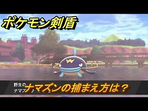 ポケモン剣盾 ナマズンの出現場所は？オススメの場所は？天気は？ポケモン図鑑コンプへの道！ 最新版【ポケモンソード・シールド】