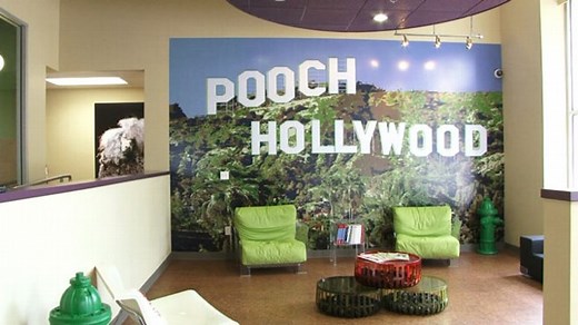 Welcome to the Pooch Hotel