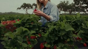 Florida Department of Agriculture TV Spot, 'America 250: Fresh From Florida Produce'