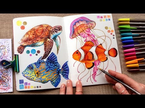 Drawing sea life with colored ballpoint pens 🐠 (no music, no talking)