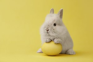 What Are the Easter Bunny's Origins? The History Has Nothing to Do With Jesus