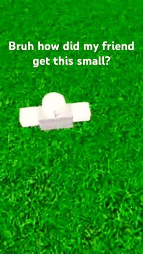 Bro me friend got so smol #fypシ #video #views #viral #gaming #roblox #cute #small #eastereggs #nice