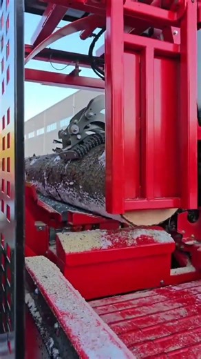 Cutting a Round Tree Log with Precision #WoodCutting #shortvideo #fypシ