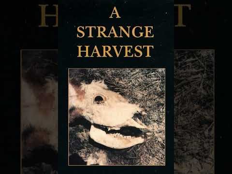 Linda Moulton Howe, Human / Grey Hybrids and Deep Earth Housing