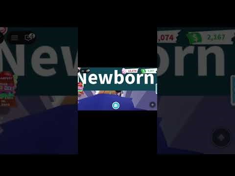 Playing adopt me doing questions and getting pets🩷🩵🩷😝