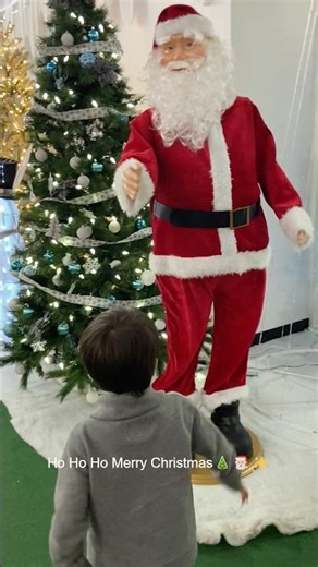 Ho Ho Ho Merry Christmas🎄✨#shorts #funny