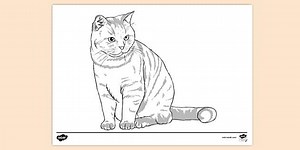 Ginger Cat Colouring Sheet