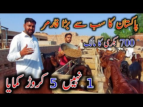 How To Start Goat Farming in pakistan - Modern Goat Farming - Goat Land Farm